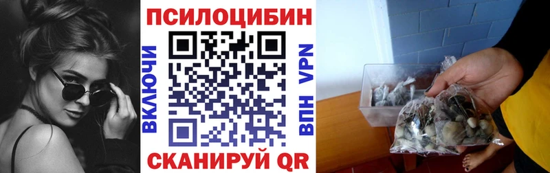Псилоцибиновые грибы GOLDEN TEACHER  Купить  Вятские Поляны 